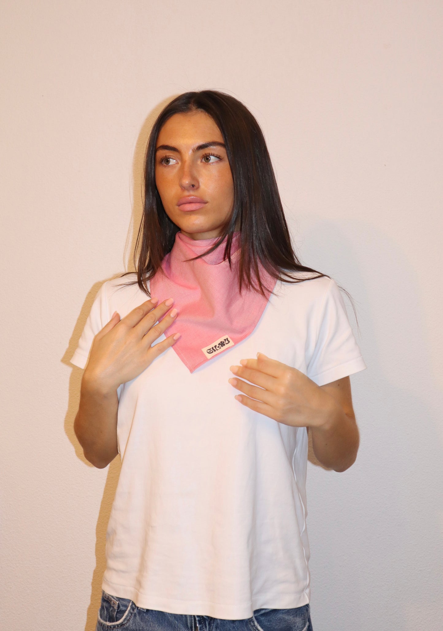 Le foulard