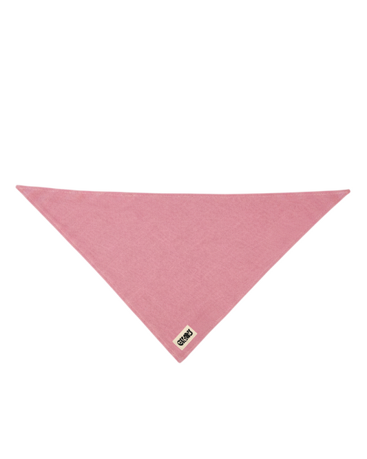 Le foulard